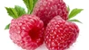 Maline ekološke 2 posodici po 0,25 kg