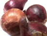 Čebula rdeča
