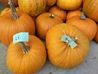 Buča, Halloween
